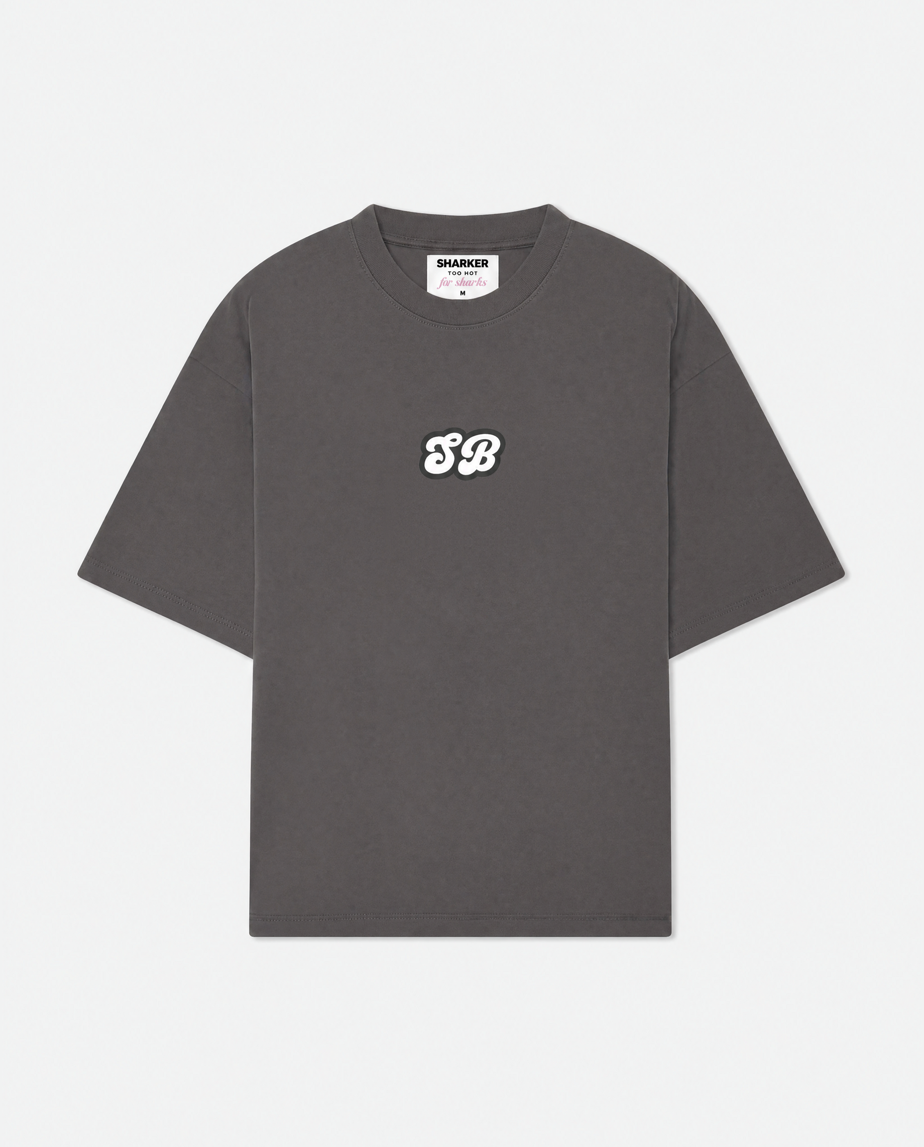 Camiseta Explore gris