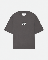 Camiseta Explore gris